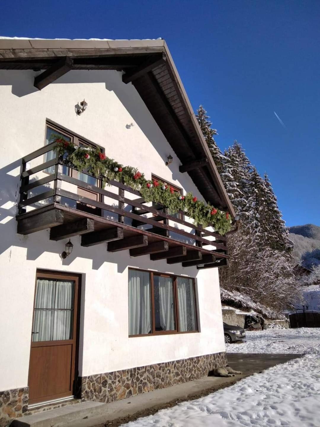 Casa Valea Prejbei Villa Rau Sadului Bagian luar foto