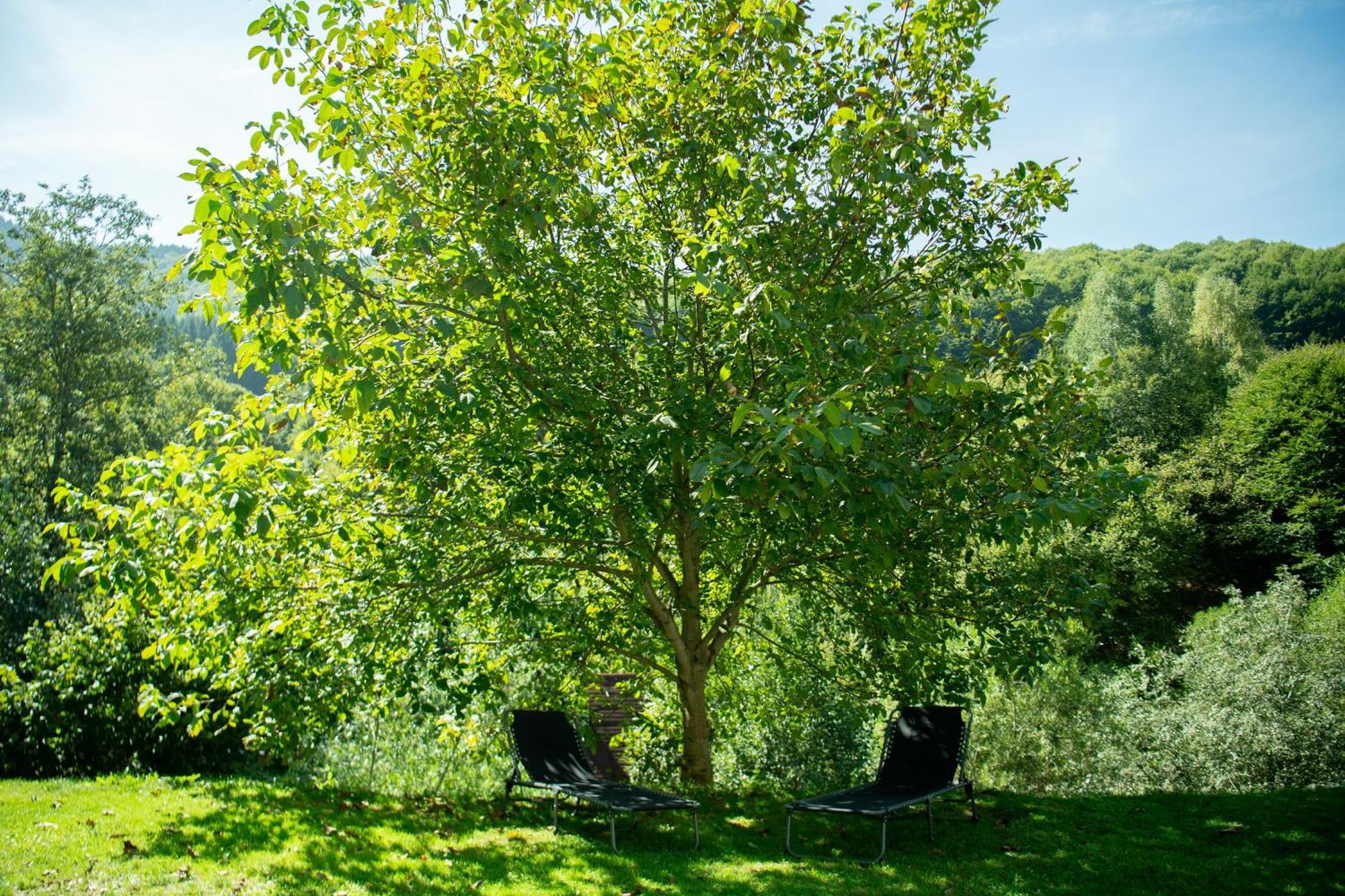 Casa Valea Prejbei Villa Rau Sadului Bagian luar foto