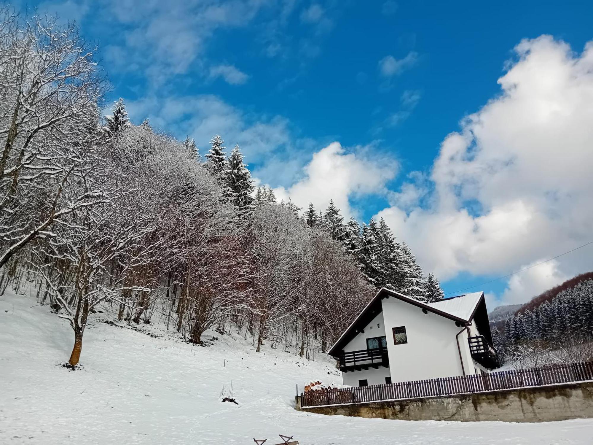 Casa Valea Prejbei Villa Rau Sadului Bagian luar foto